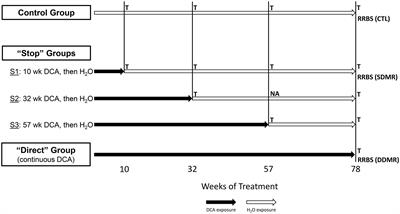 Persistent gene expression and DNA methylation alterations linked to carcinogenic effects of dichloroacetic acid